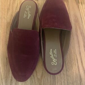 Seychelles Women's Deep Red Mules